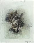 0981s